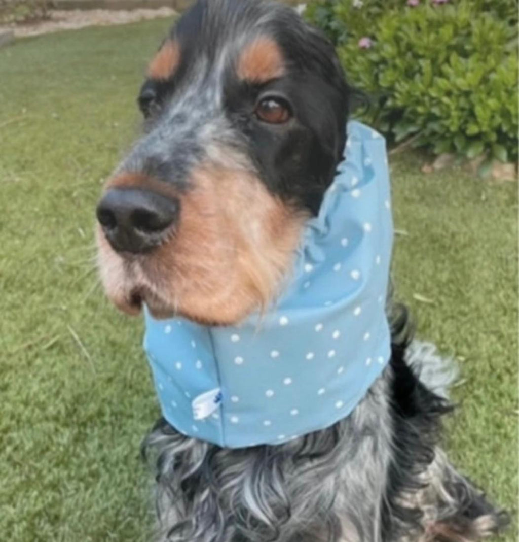 Snood bleu ciel à petits pois blancs - imperméable