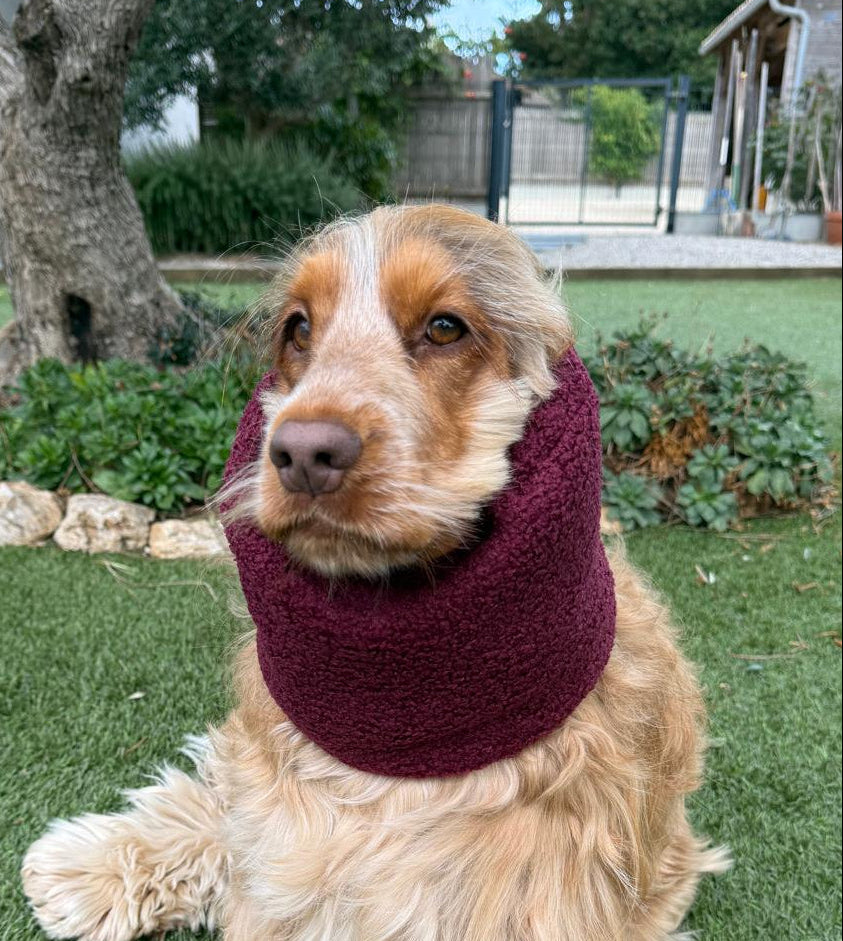 Snood bordeaux - bouclette