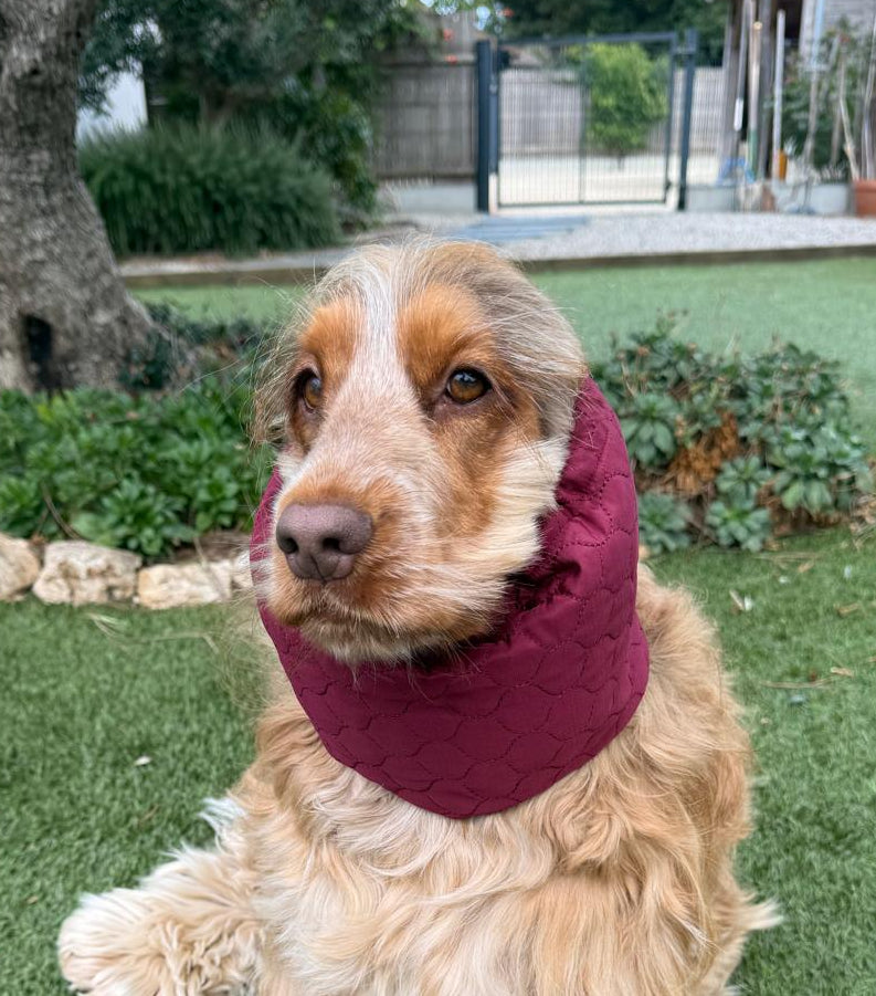 Snood bordeaux - matelassé