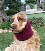 Snood bordeaux - velours côtelé