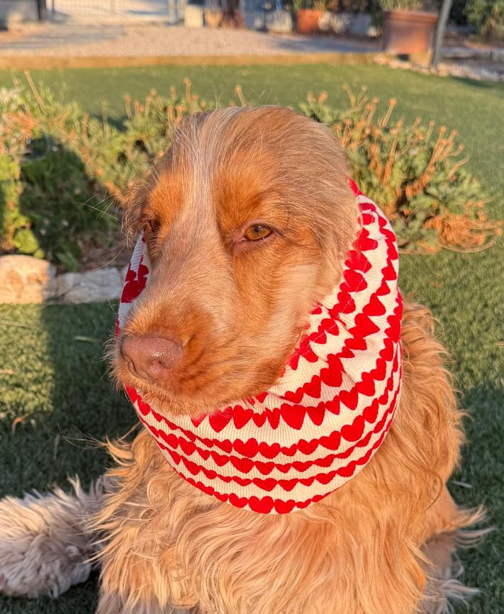 Snood coeurs rouges - jersey