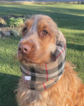 Snood écossais - tartan
