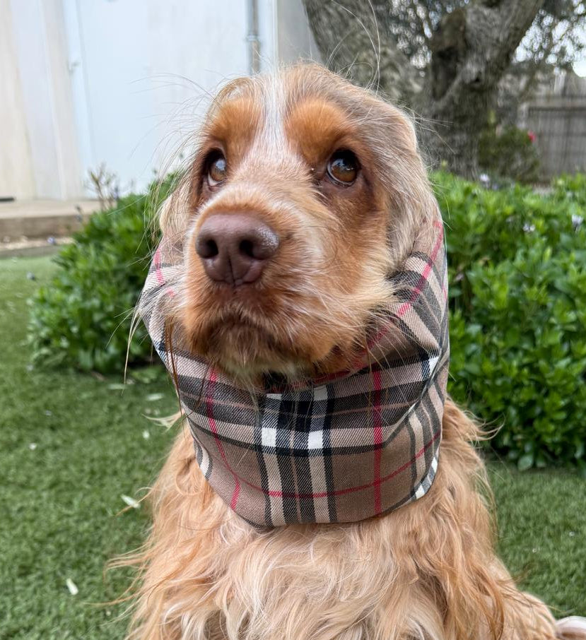 Snood écossais - tartan enduit (déperlant)