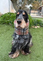 Snood écossais - tartan enduit (déperlant)