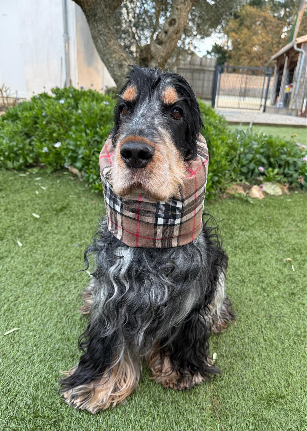Snood écossais - tartan enduit (déperlant)