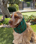 Snood écossais vert - tartan
