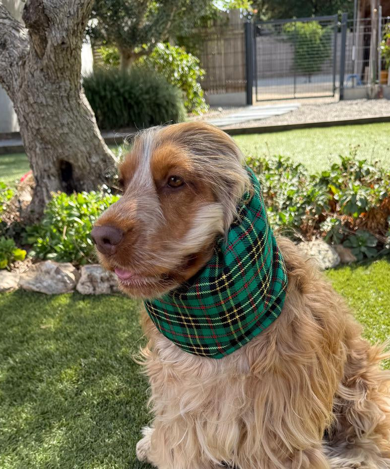 Snood écossais vert - tartan