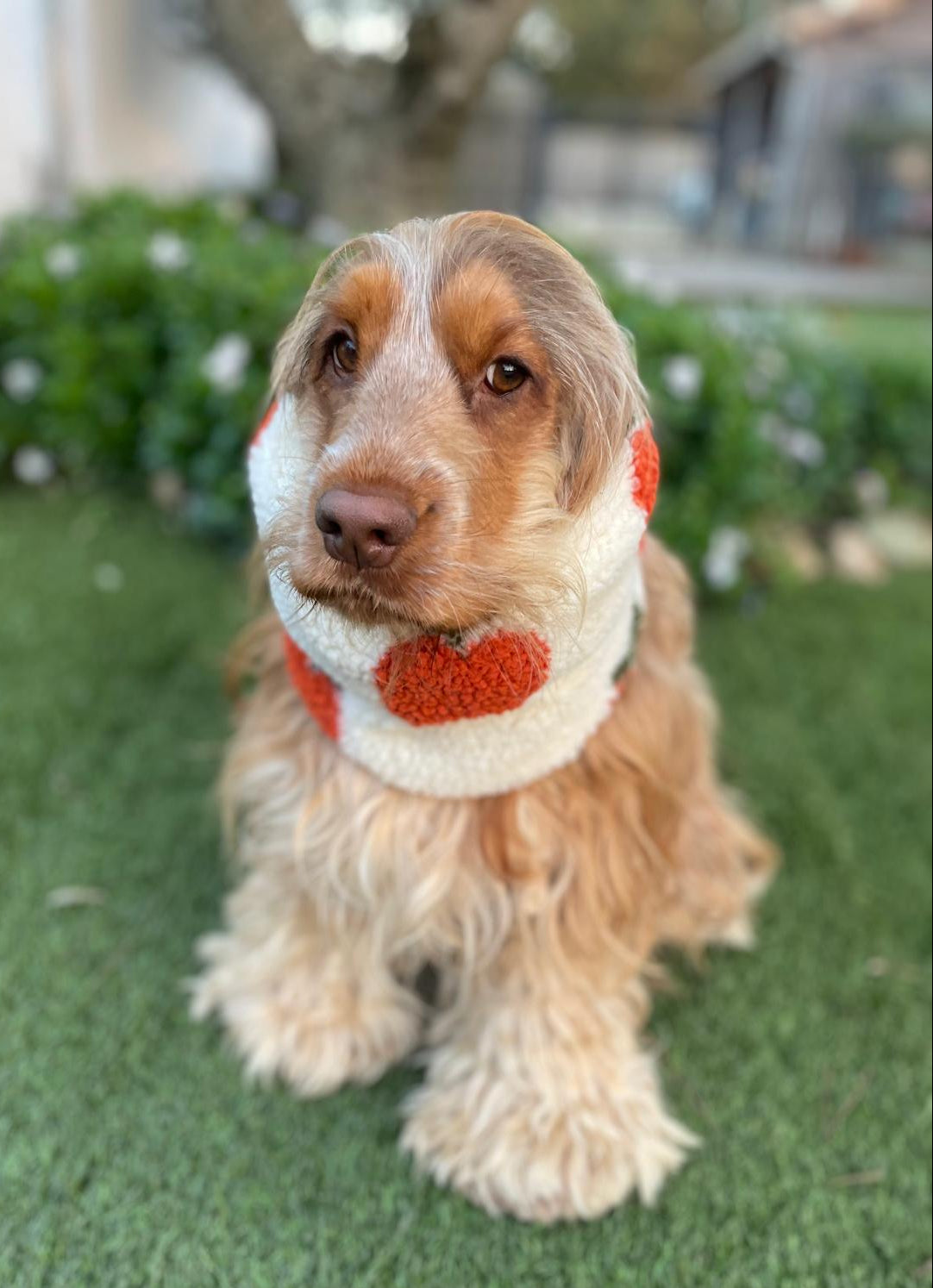 Snood écru avec pommes - sherpa/teddy