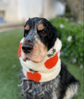 Snood écru avec pommes - sherpa/teddy