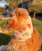 Snood fleuri - gaze de coton