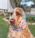 Snood fleuri - softshell (imperméable et polaire)