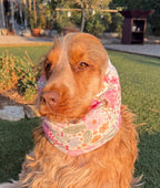 Snood fleuri rose - gaze de coton