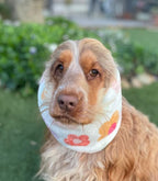Snood fleurs - polaire