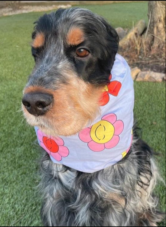 Snood fleurs colorées - coton