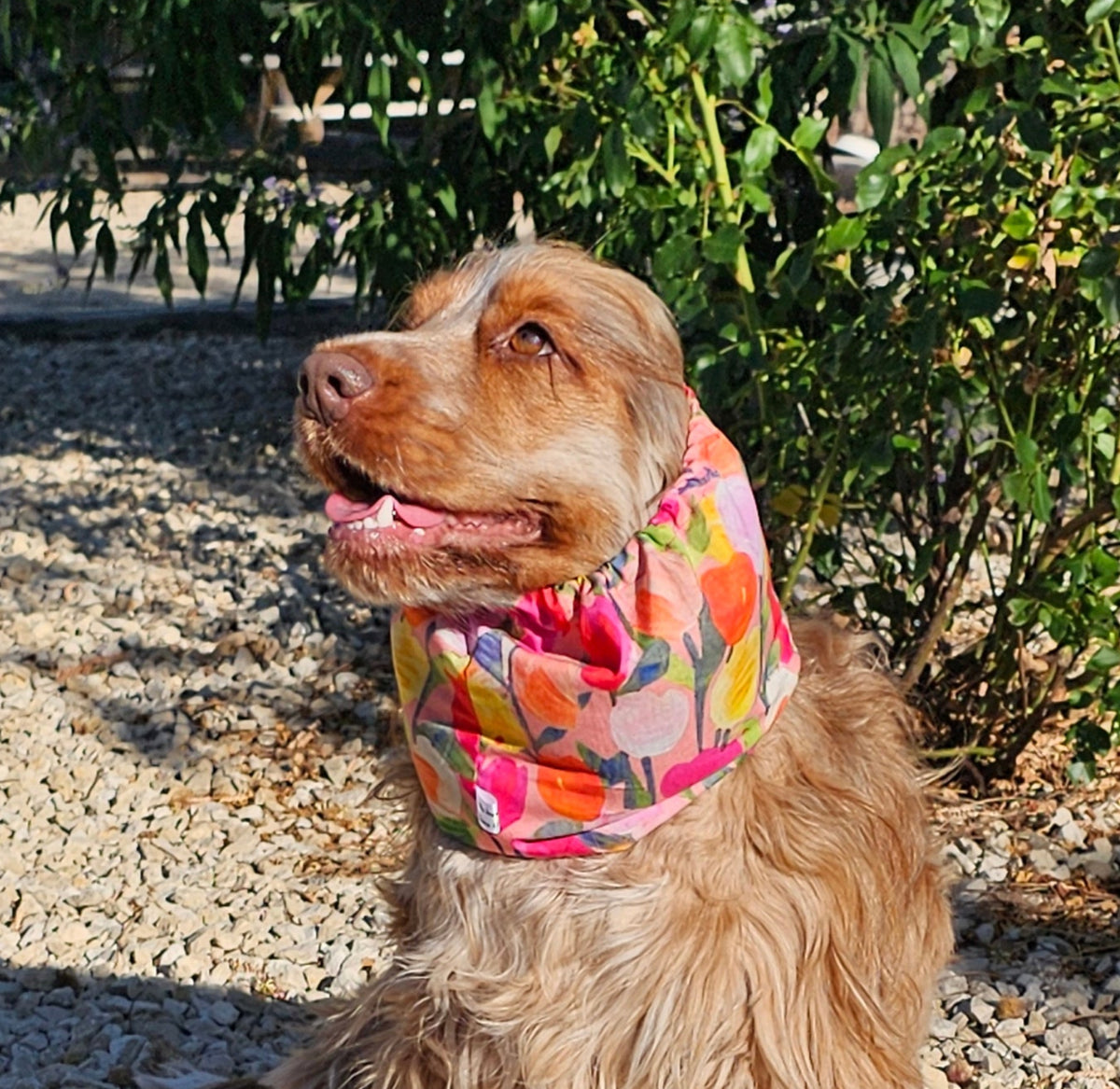 Snood fleurs multicolores - popeline