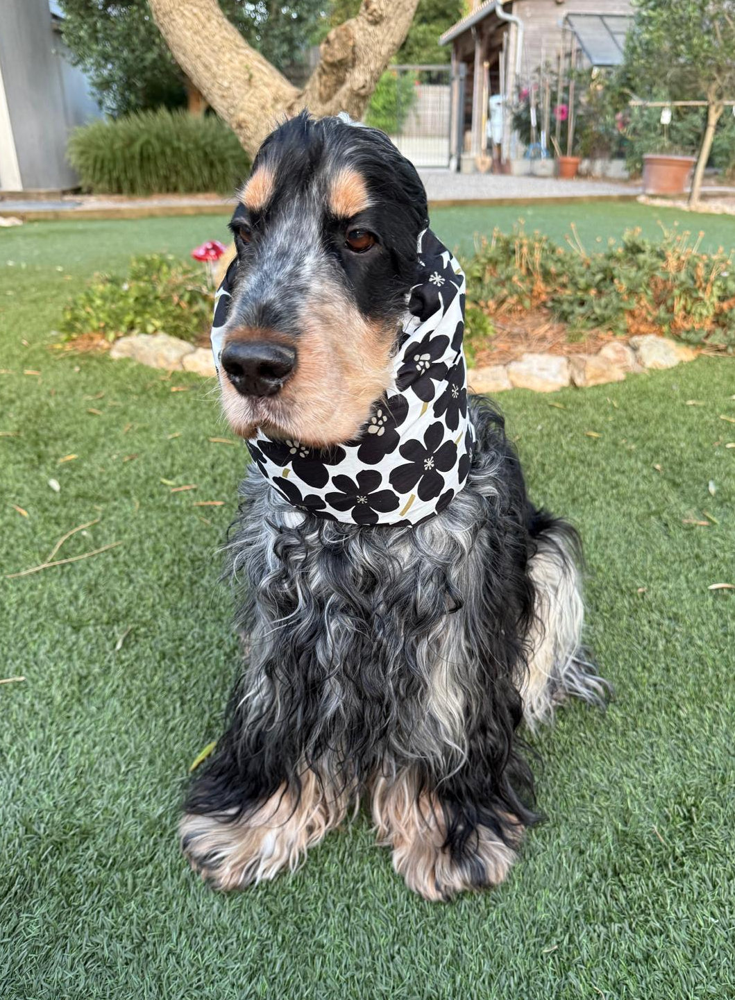 Snood fleurs noires - coton