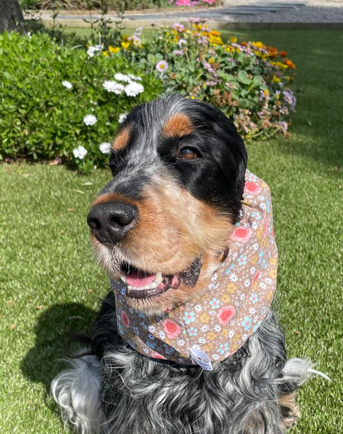 Snood fleurs roses et bleues - coton
