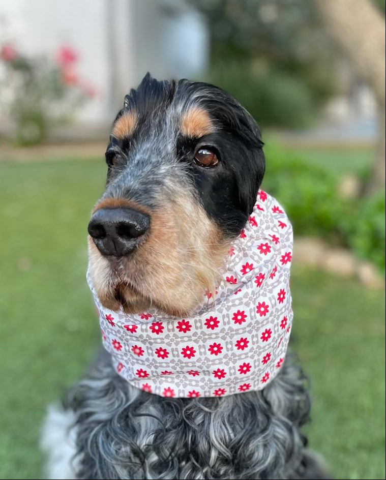 Snood fleurs rouges à carreaux - imperméable