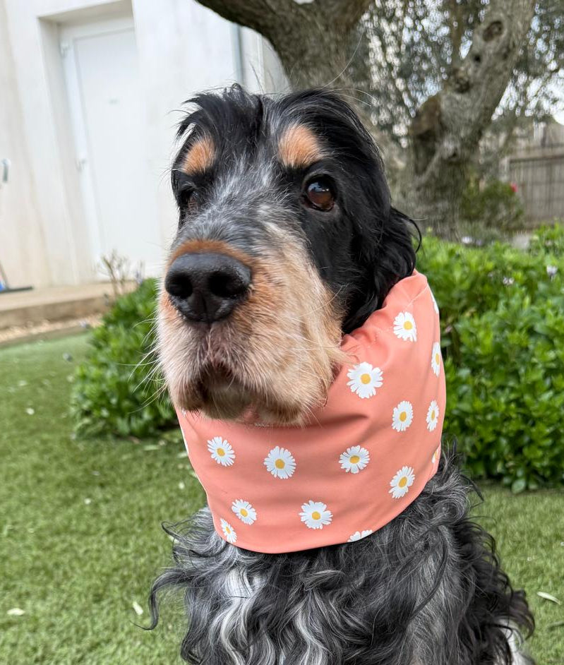 Snood fleurs saumon - imperméable