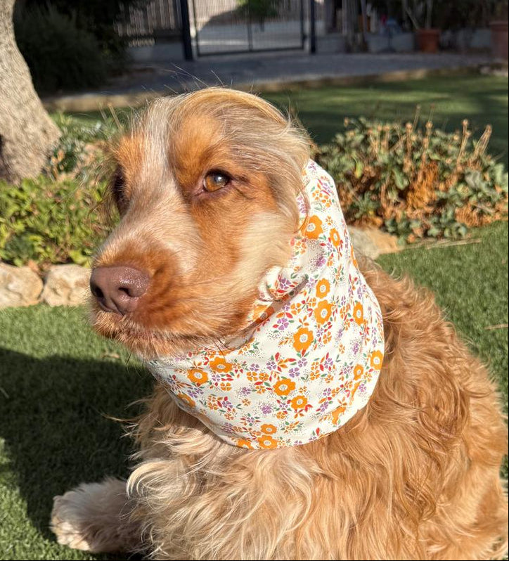 Snood fond beige avec fleurs oranges - imperméable