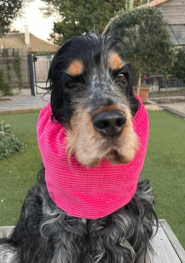 Snood rose fuchsia - velours côtelé