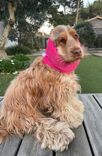 Snood rose fuchsia - velours côtelé