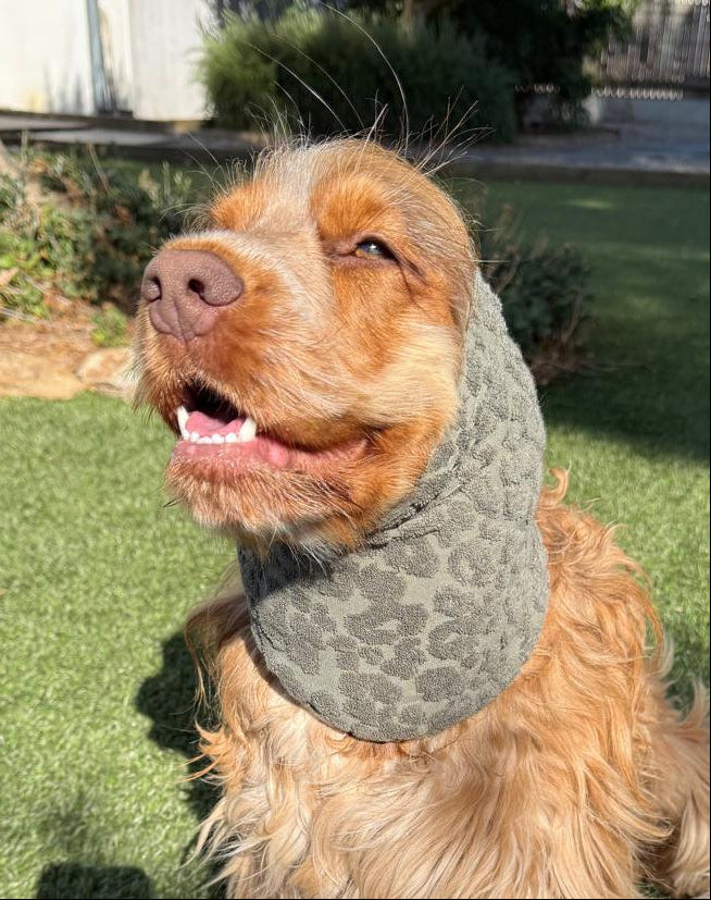 Snood grooming léopard kaki - éponge