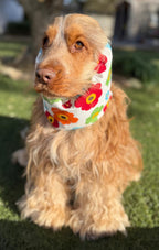 Snood grosses fleurs multicolores - toile de coton