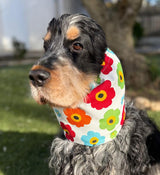 Snood grosses fleurs multicolores - toile de coton