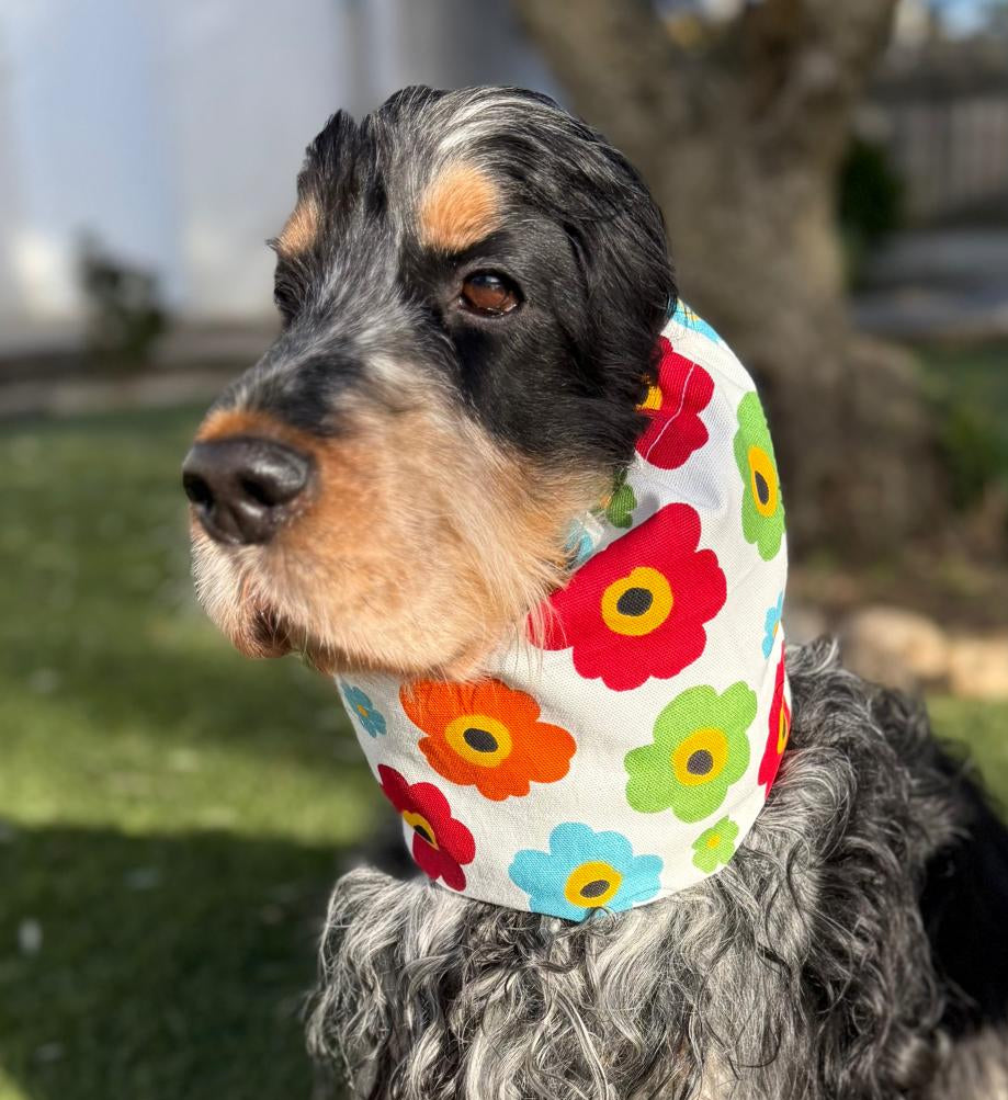 Snood grosses fleurs multicolores - toile de coton