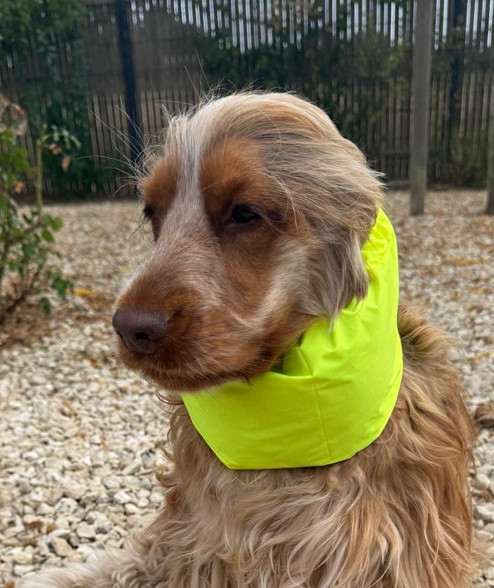 Snood jaune fluo - coupe vent déperlant léger