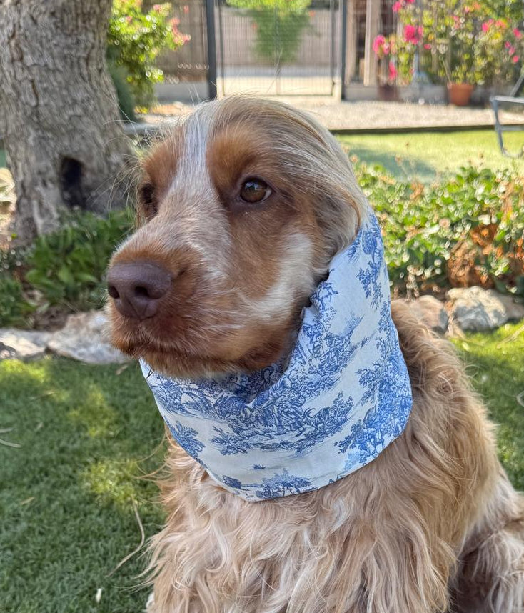 Snood jouy bleu - coton