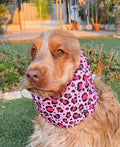 Snood léopard rose -coton