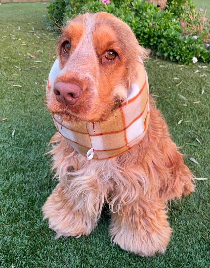 Snood marron orangé - polaire fin