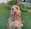 Snood multicolores - imperméable