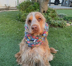 Snood multicolores - imperméable