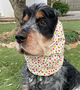 Snood multifruits - toile de coton