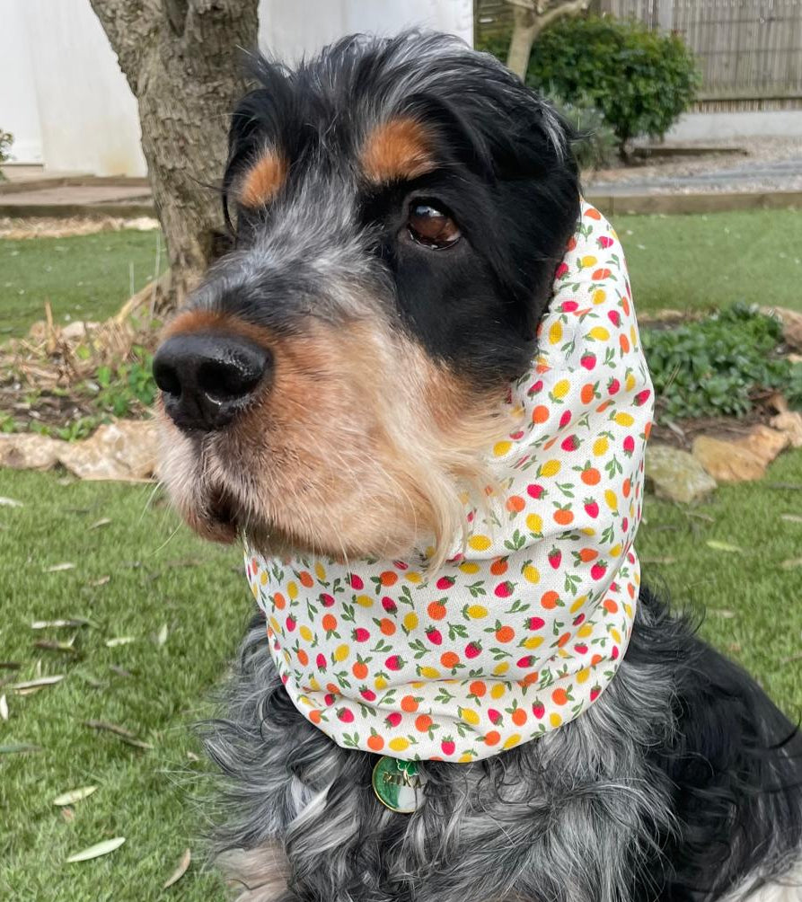 Snood multifruits - toile de coton