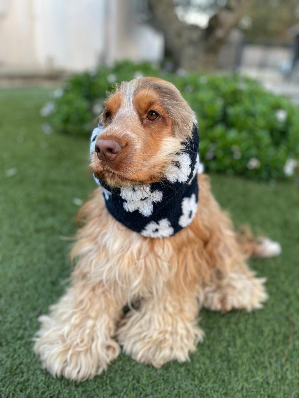 Snood noir avec fleurs blanches - sherpa/teddy