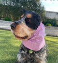 Snood petits coeurs - coton