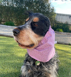 Snood petits coeurs - coton