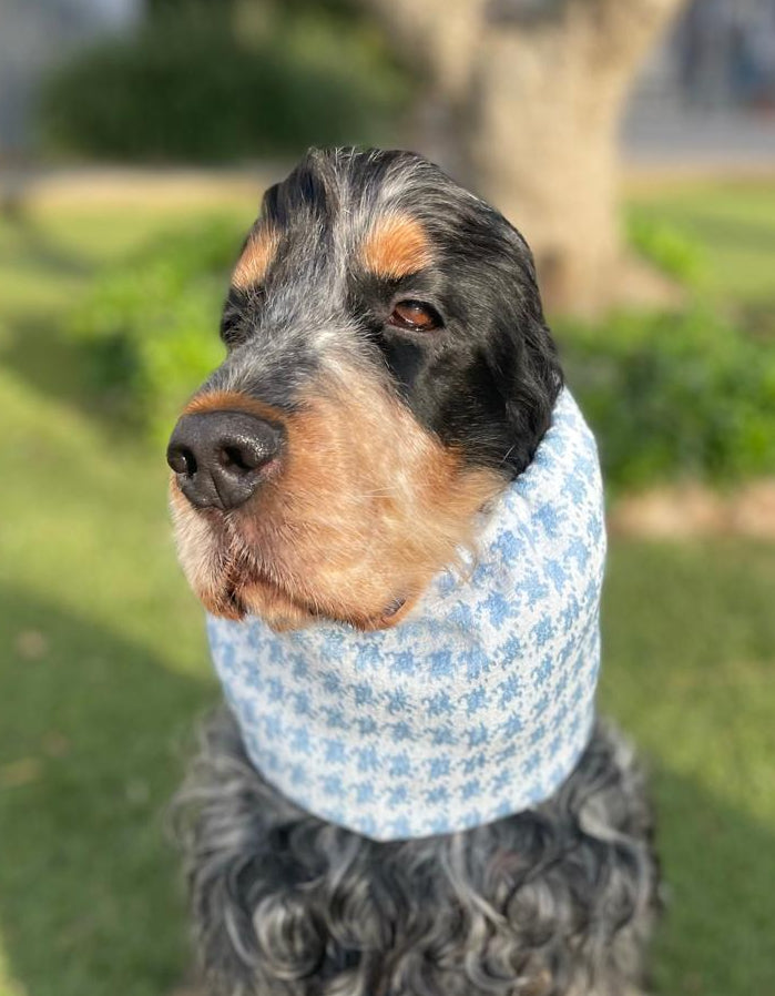 Snood pied de poule bleu ciel et blanc - jacquard