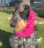 Snood à pois fuchsia - coton