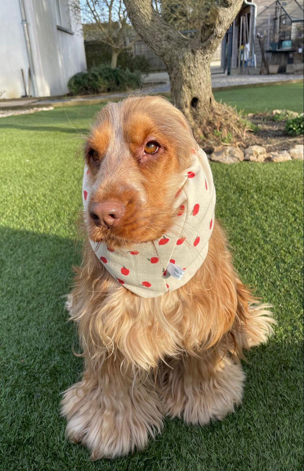 Snood pommes - gaze de coton