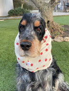 Snood pommes - gaze de coton