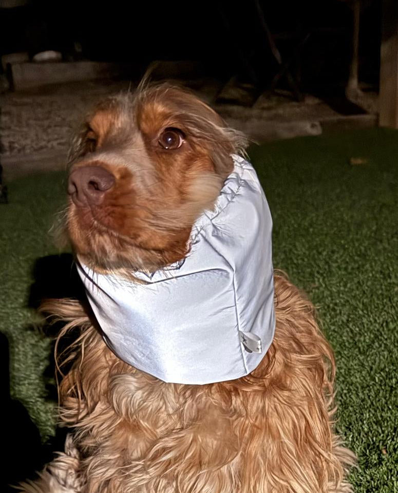 Snood réfléchissant - softshell