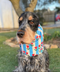 Snood rayé bleu et blanc avec tulipes - imperméable