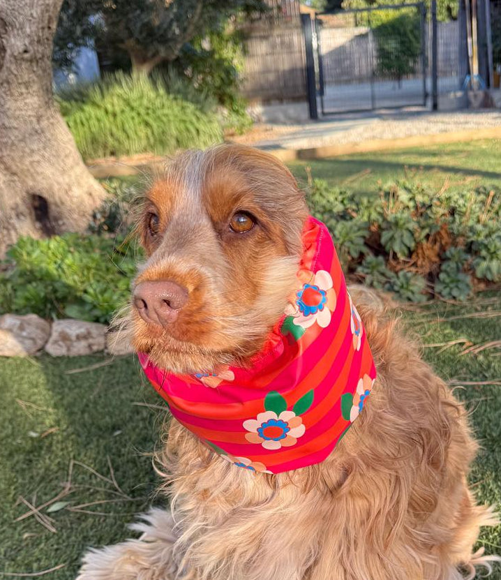 Snood rayé rouge et orange fleuris - imperméable