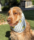 Snood rayé vert avec citrons - gaze de coton