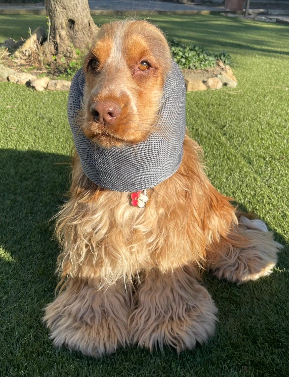 Snood respirant gris foncé